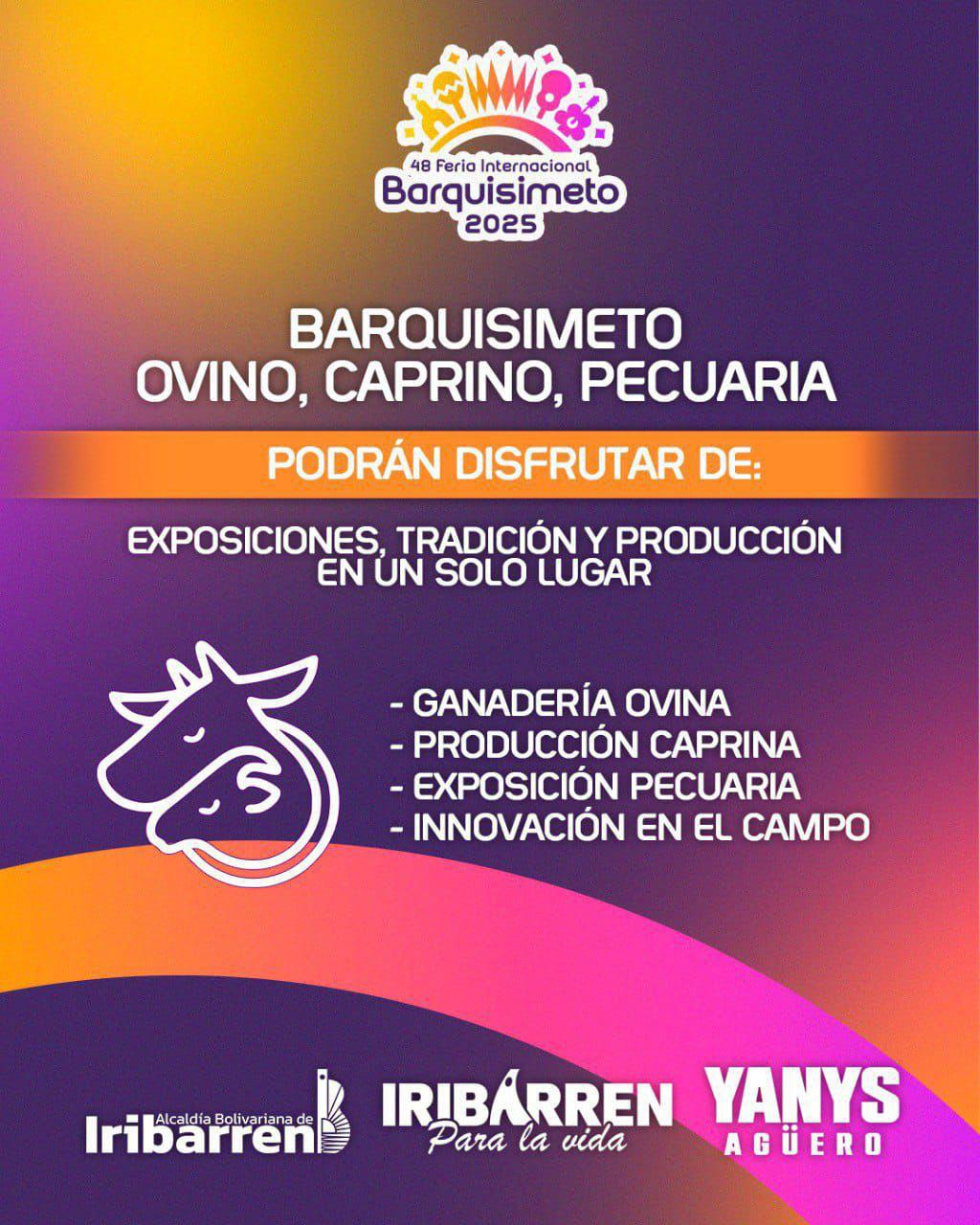 Flyer 3